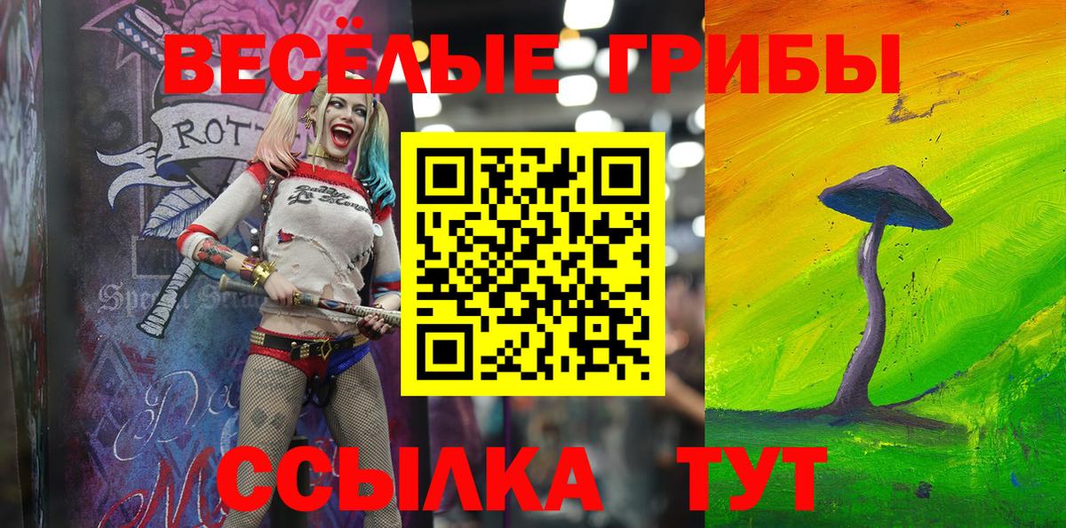 Галлюциногенные грибы Psilocybine cubensis Ахтубинск