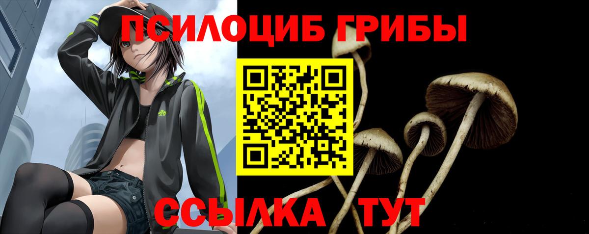 Ахтубинск  Галлюциногенные грибы ЛСД  Псилоцибиновые грибы Psilocybe  Вход с VPN 